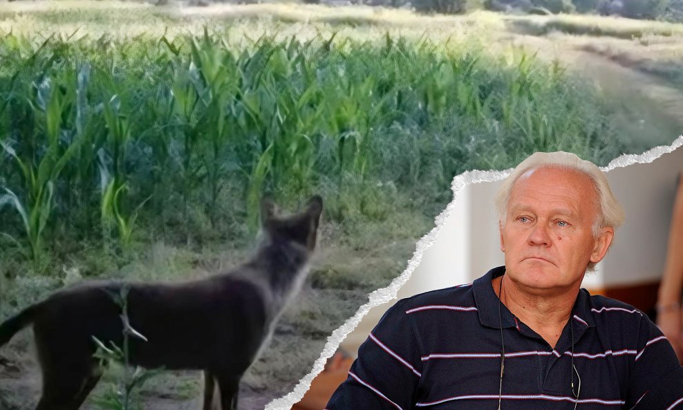 Đuro Huber