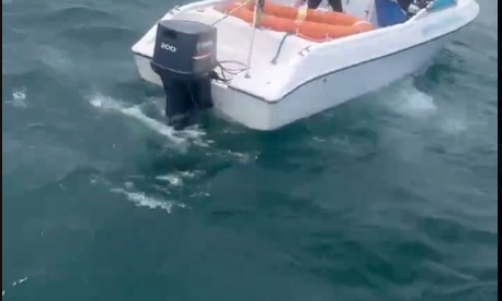 Riječ je o turističkom brodu