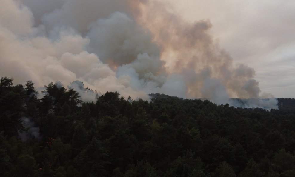Požar u šumi Fontainebleau