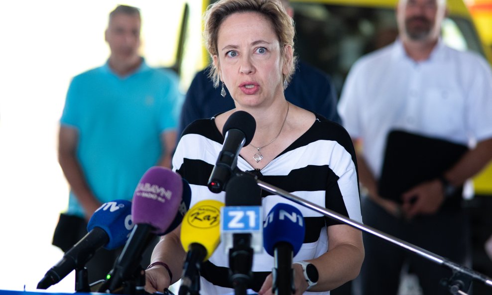 Danijela Dolenec