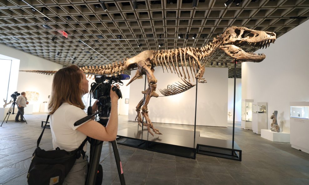 T-Rex