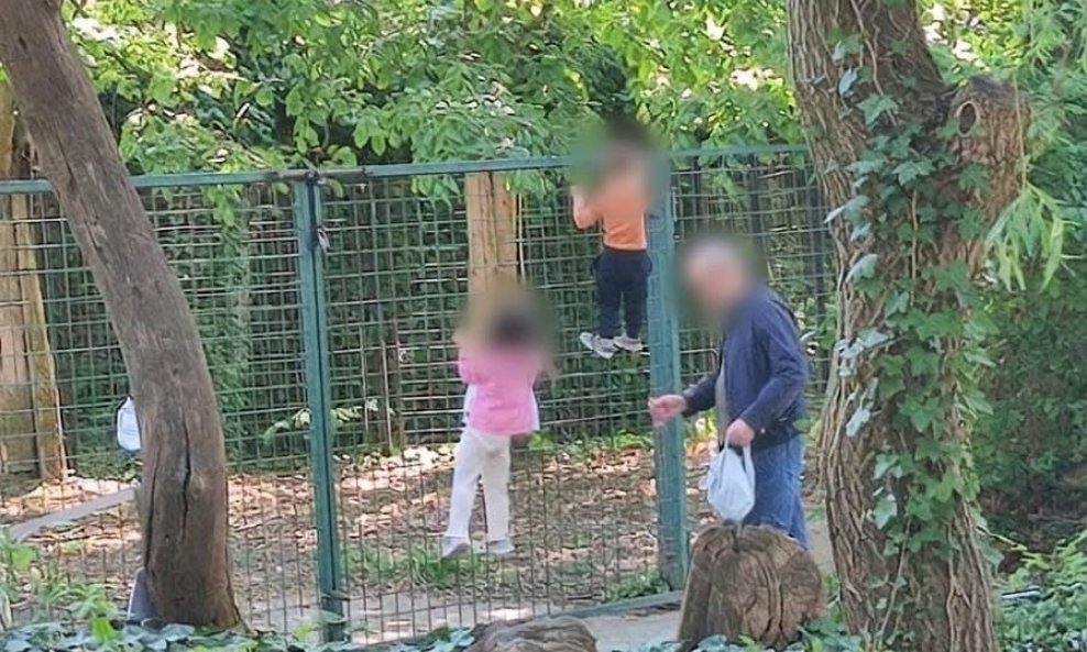 Eklatantni primjer kršenja pravila ponašanja u Zoološkom vrtu u Zagrebu