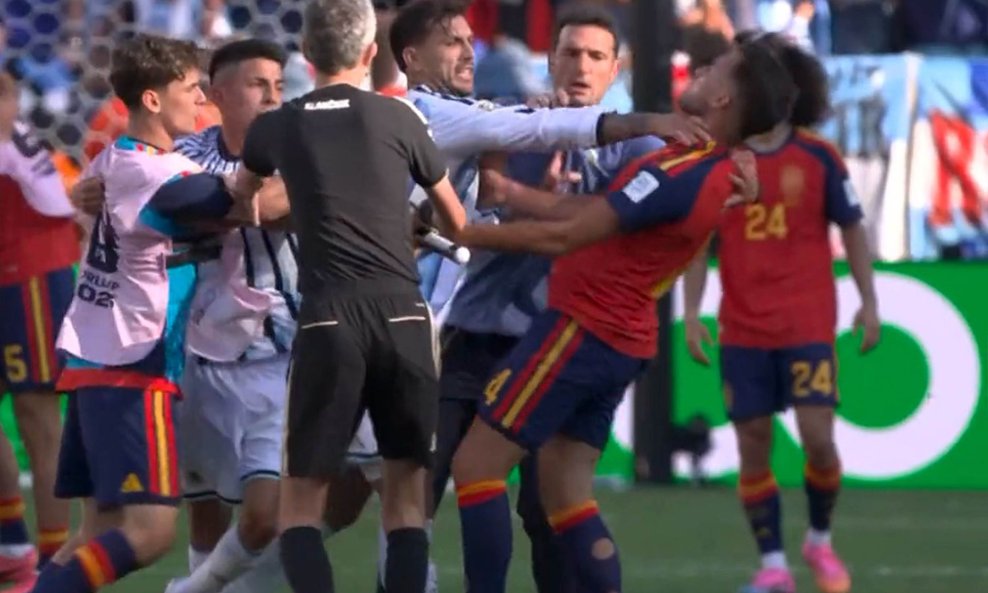 Paredes divlja