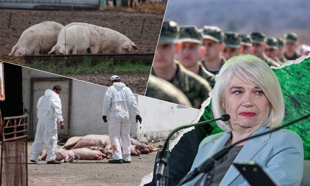 Zvjezdana Blažić (desno) za tportal je prokomentirala stanje sa afričkom svinjskom kugom za potrošače i proizvođače