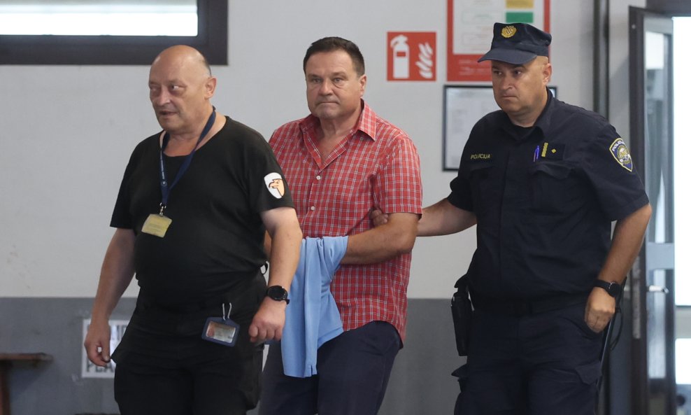 Damir Šegota
