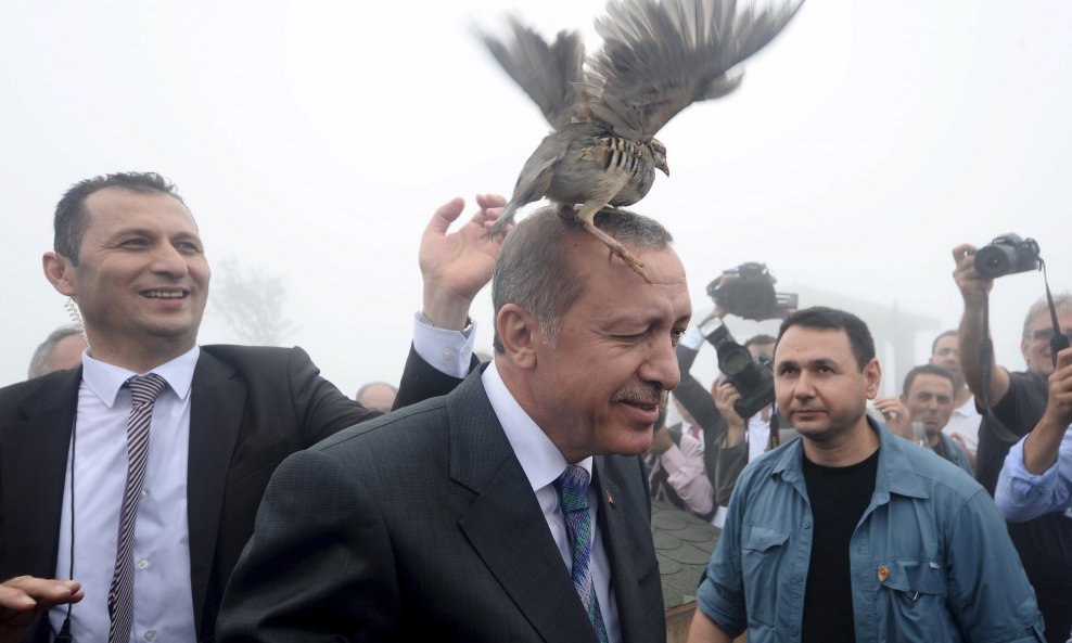 Tayyip Erdogan s pticom na glavi