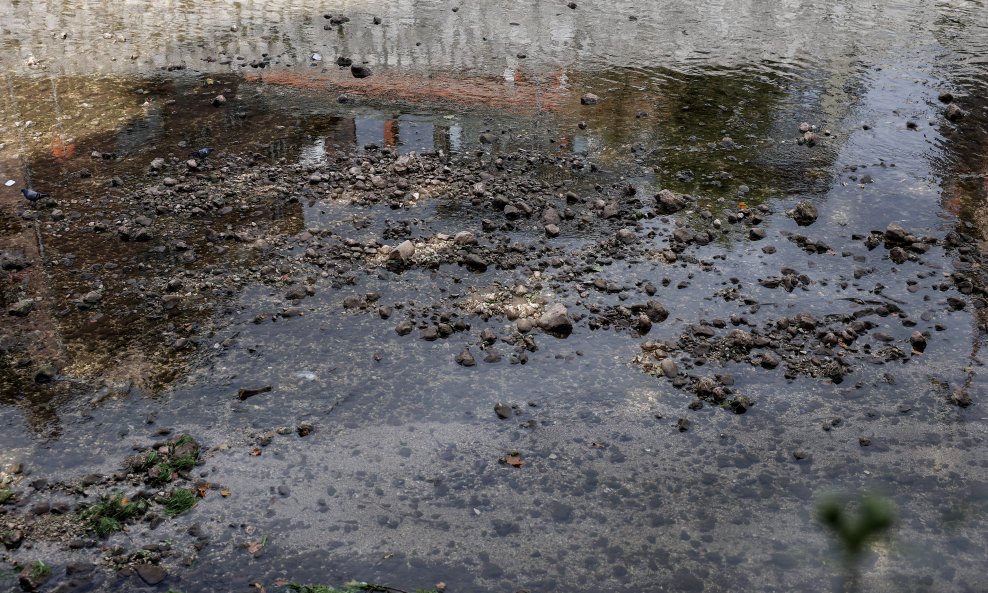 Ilustracija