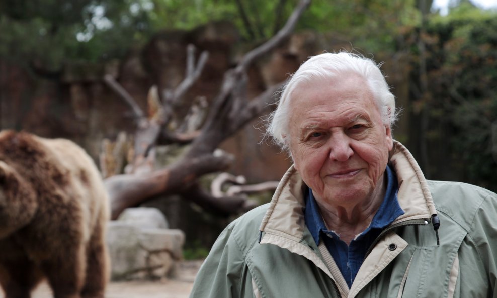David Attenborough
