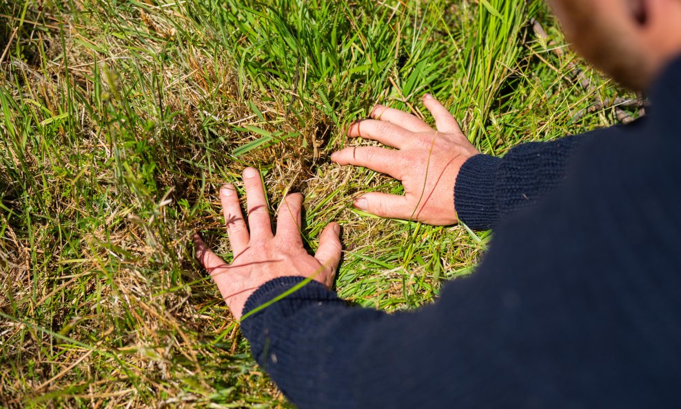 Pravilna briga o travnjaku nakon visokih visokih temperatura i suše posebno je važna za oporavak.