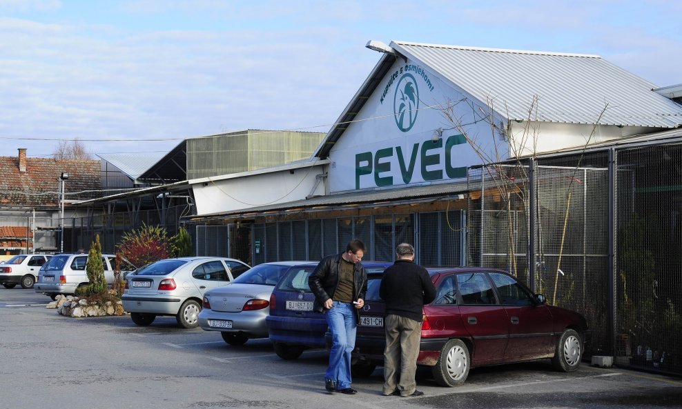 pevec bjelovar