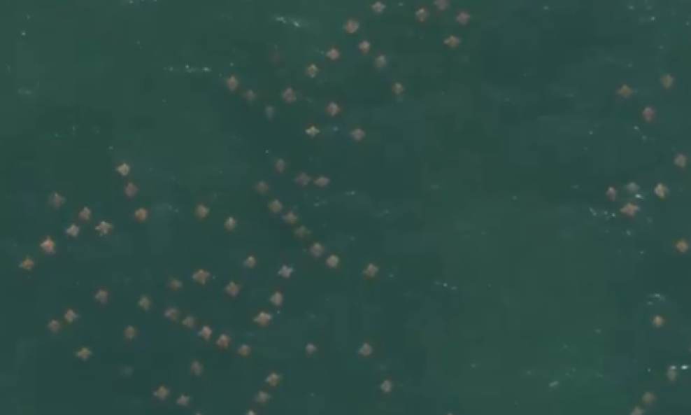 Migracija raža
