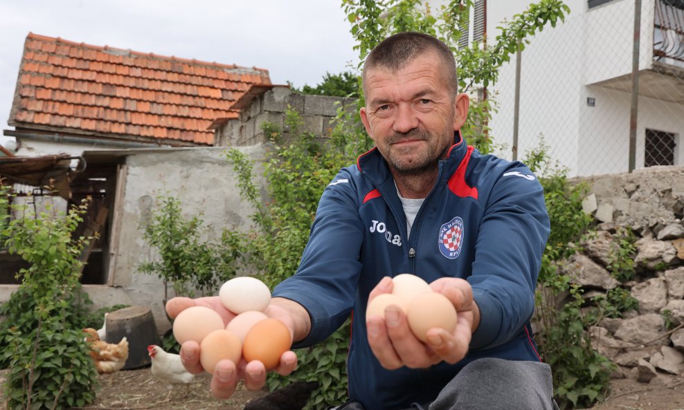 Zdravko Jeličić
