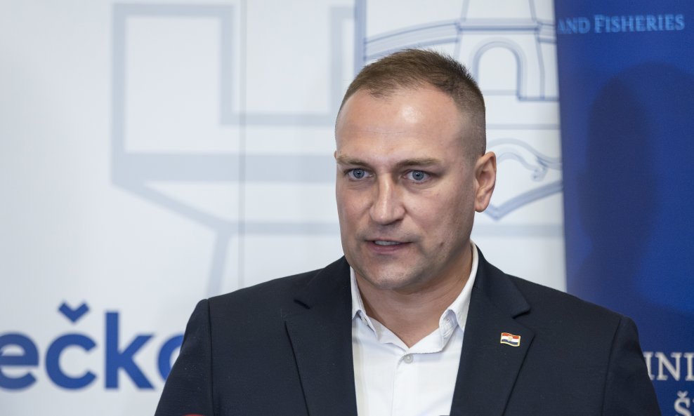 David Vlajčić