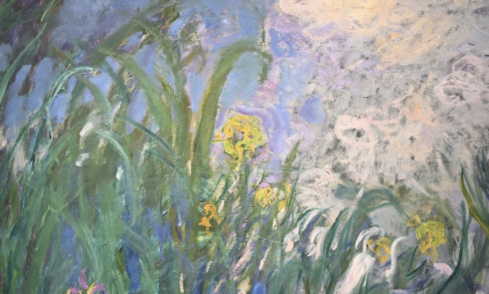 Iris, Claude Monet