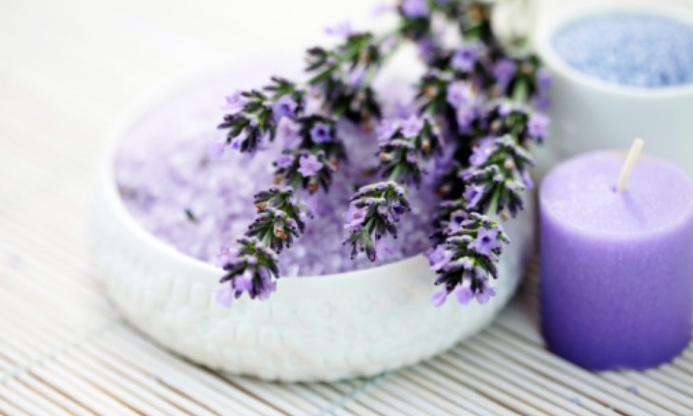 lavanda