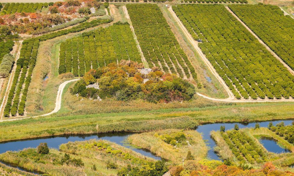 Suša u dolini Neretve