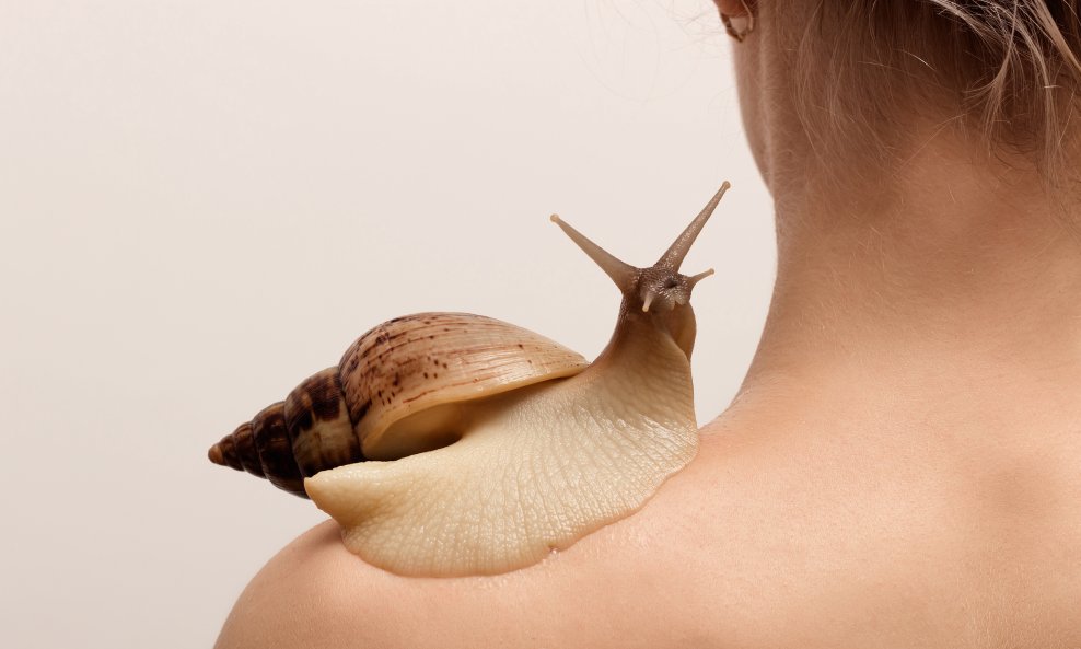 Poznat kao snail mucin, ovaj neobični sastojak privlači vlagu, umiruje upale i jača zaštitnu barijeru lica
