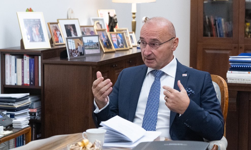 Gordan Grlić Radman