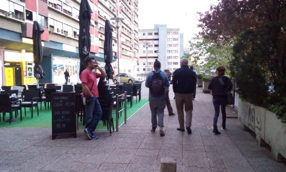 Savica cvjeta
