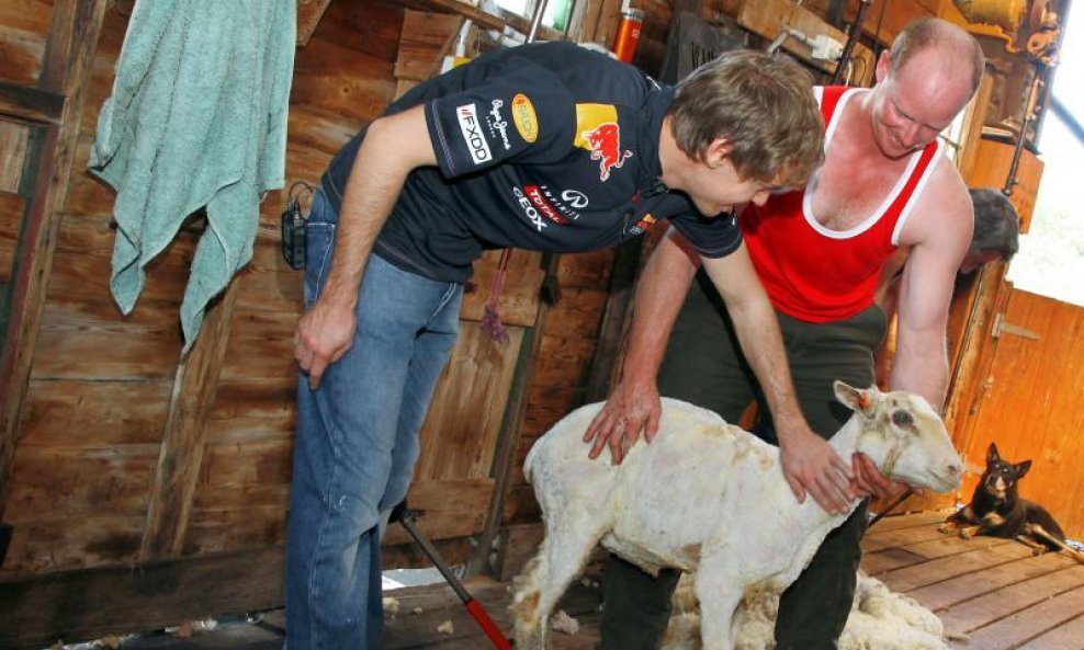 Sebastian Vettel šišao ovce (4)