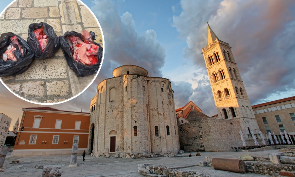 Kosti odbačene u središtu Zadra