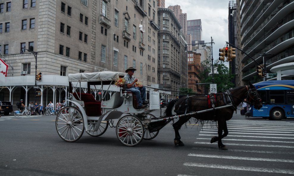 Kočija u New Yorku