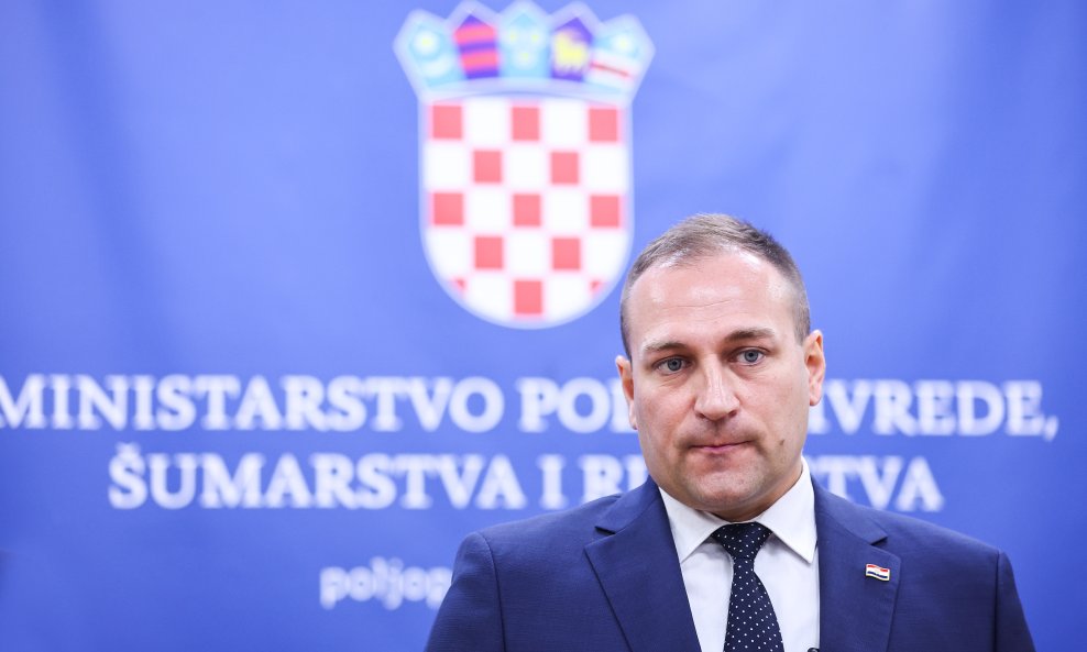 David Vlajčić