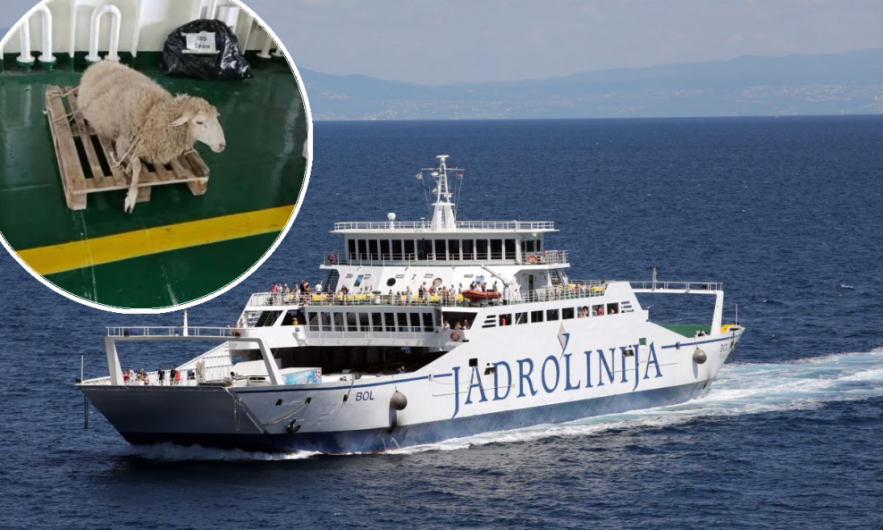Jadrlonija smatra da je prijevoz bio neprimjeren