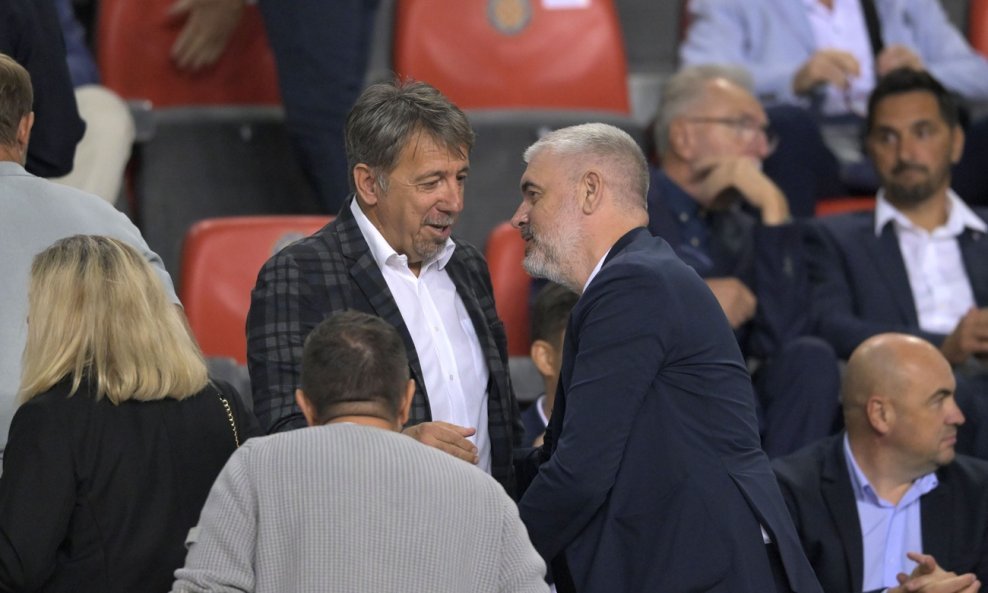 Zoran Vulić i Stipe Pletikosa