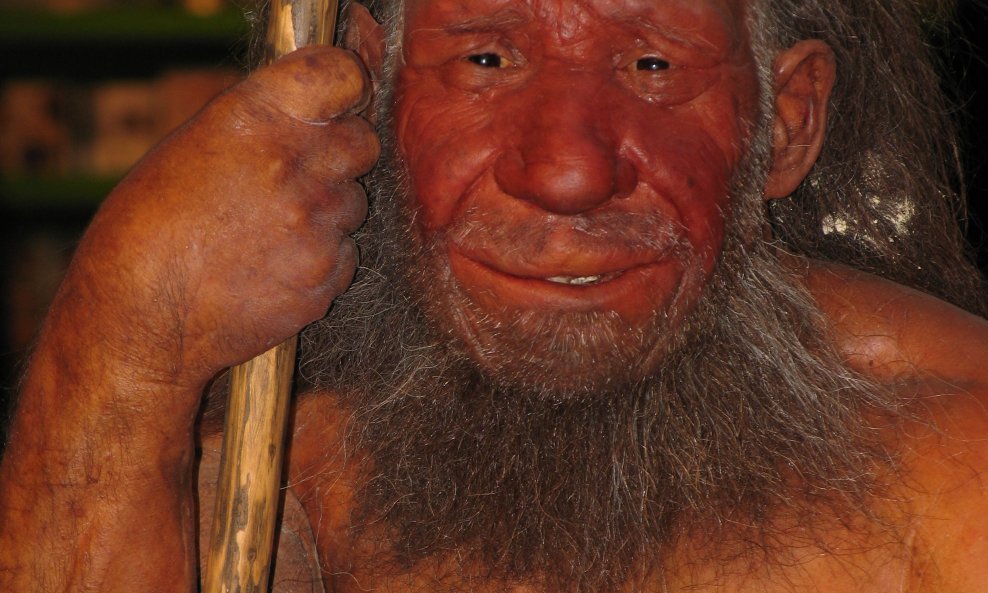 Muzejski prikaz neandertalca