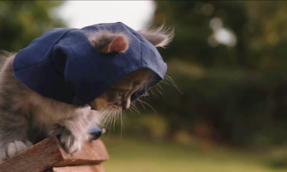 assassins creed macke