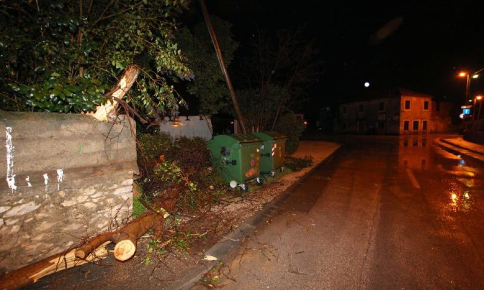 zadar jugo polomljena stabla