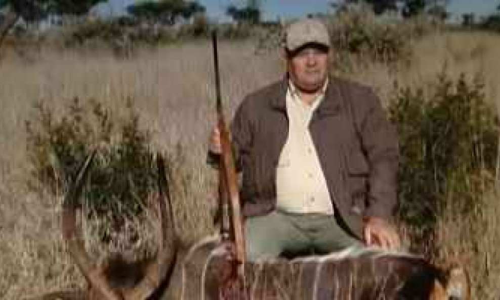 safari