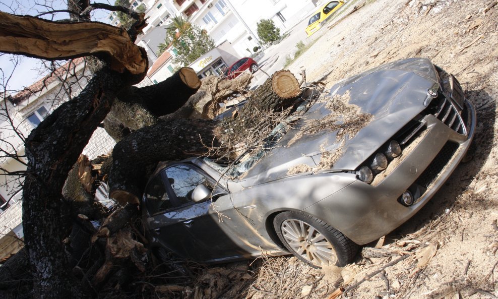 srušeni hrast stradao automobil