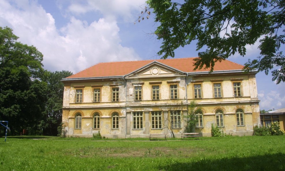 kurija adamovich čepin