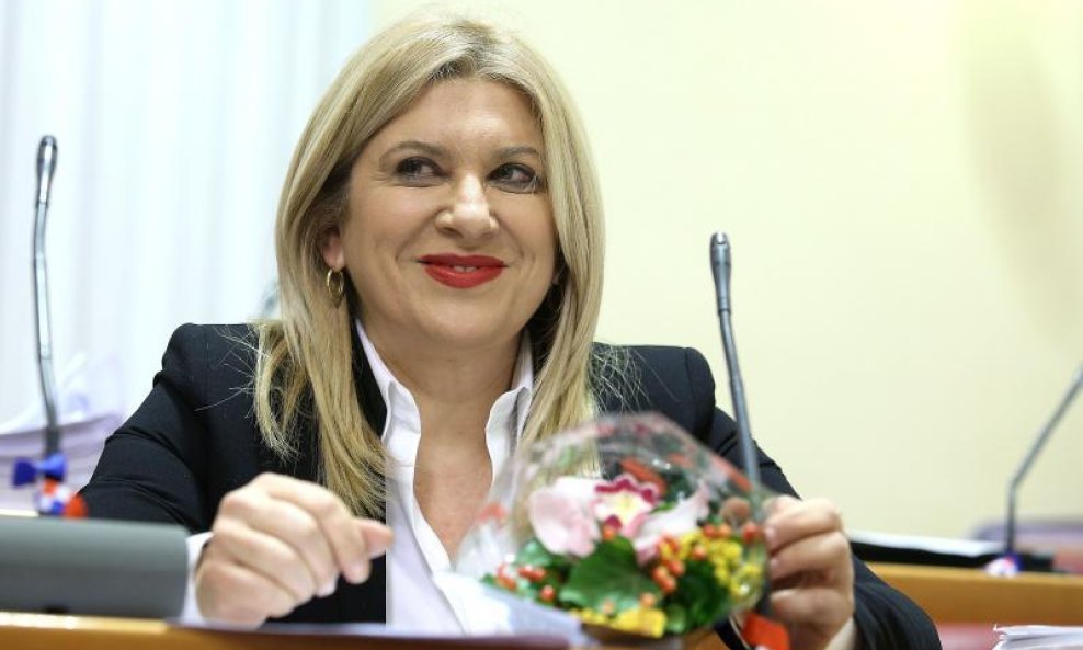 Predsjednica radne skupine Vesna Škare Ožbolt