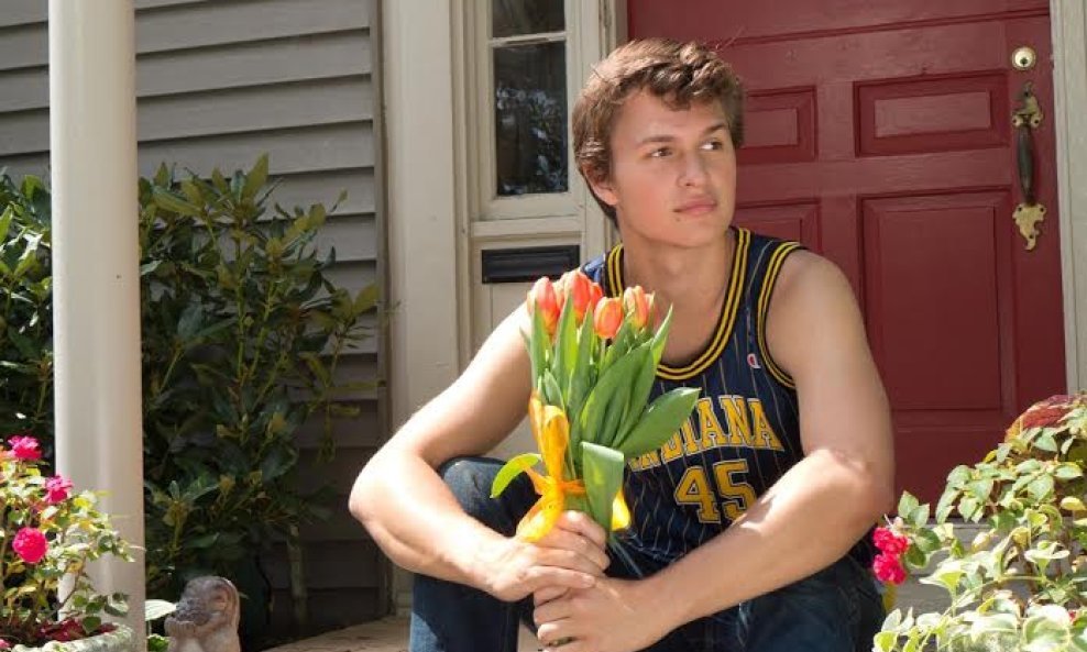 Ansel Elgort Krive su zvijezde