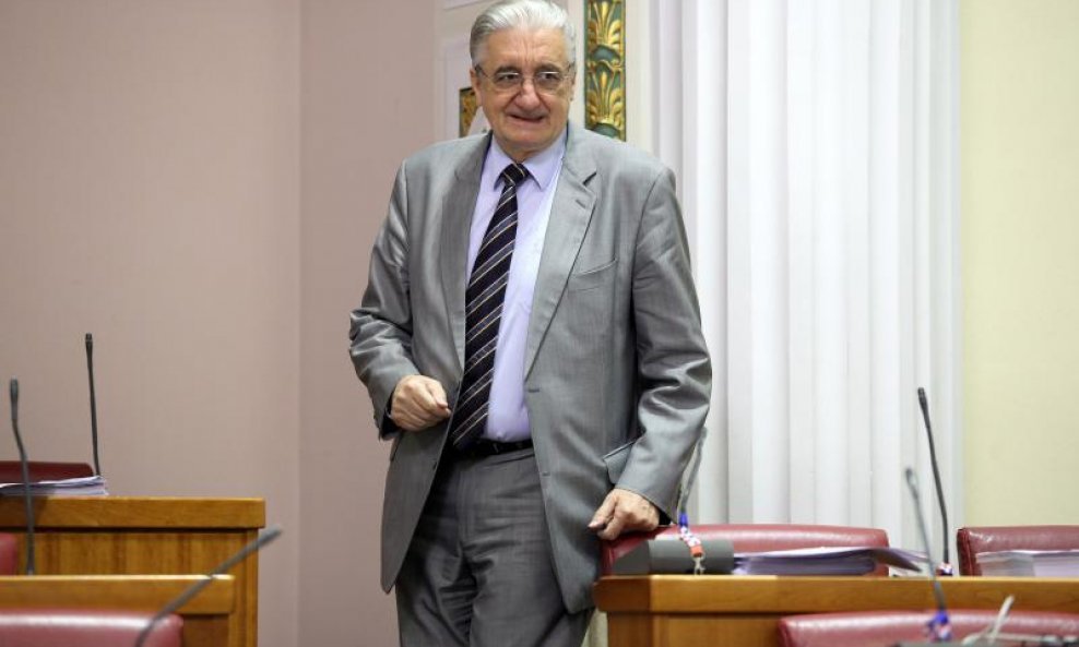 Predsjednik Odbora za unutarnju politiku Miroslav Tuđman