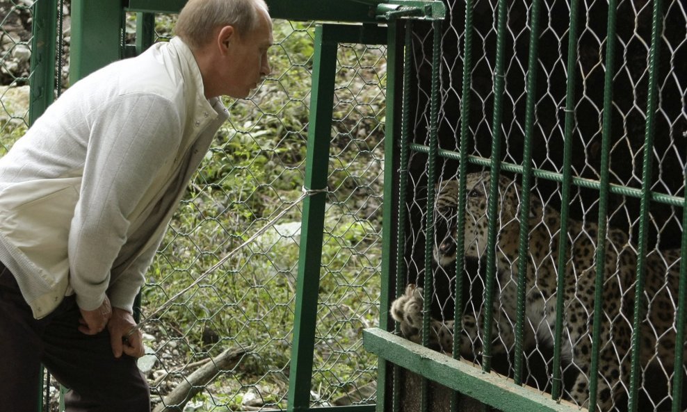 Putin leopard