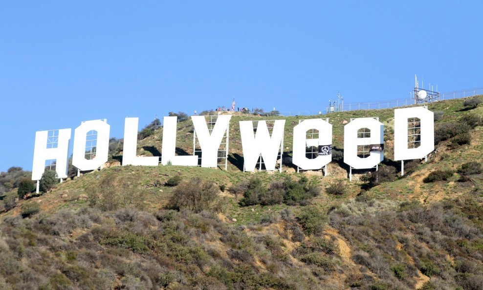 Hollyweed