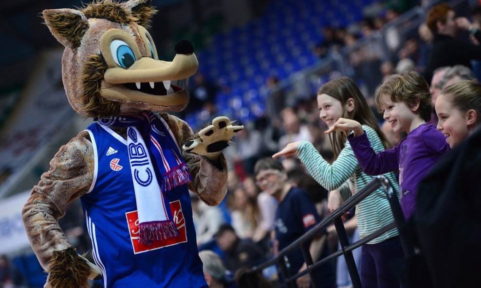 Vučko - KK Cibnona