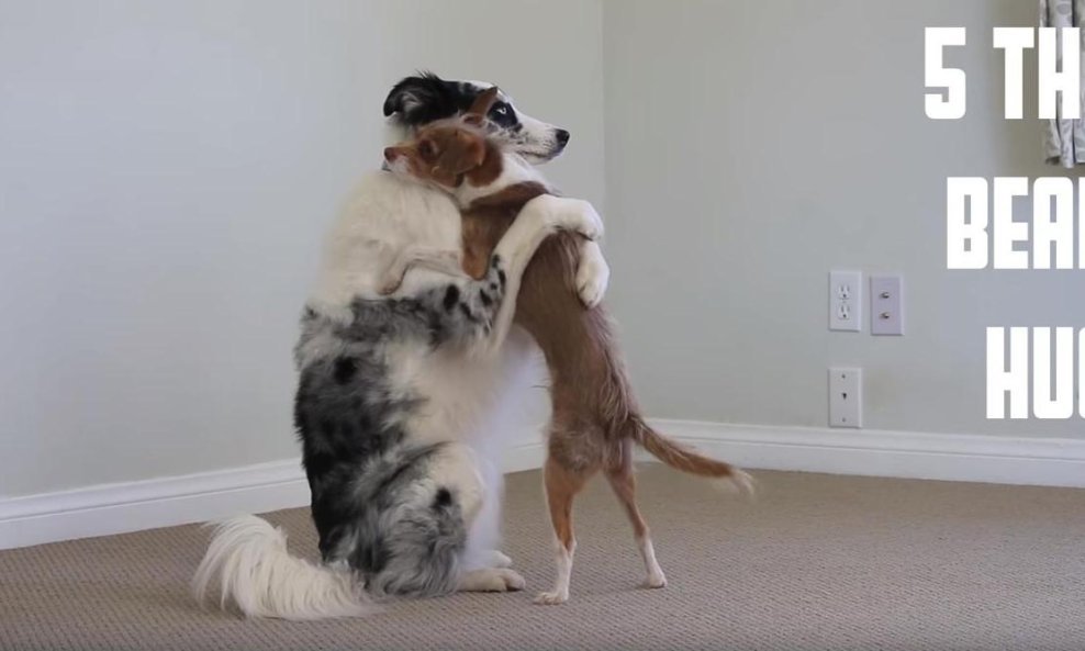 psi