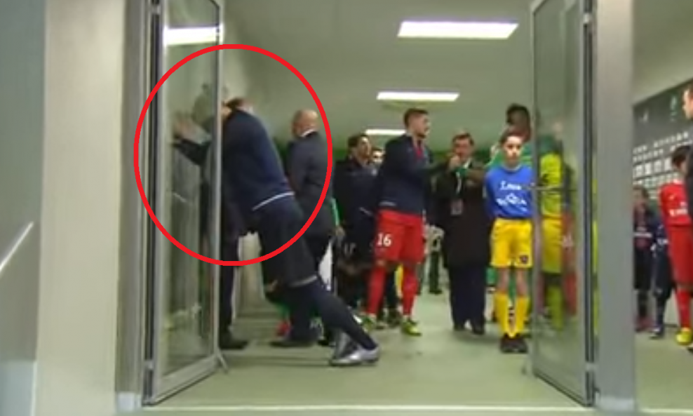 ibra