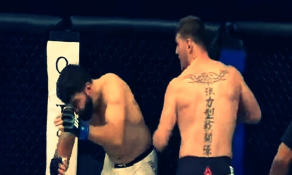 Miočić-ko-arlovski