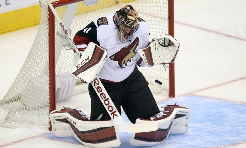 Arizona Coyotes