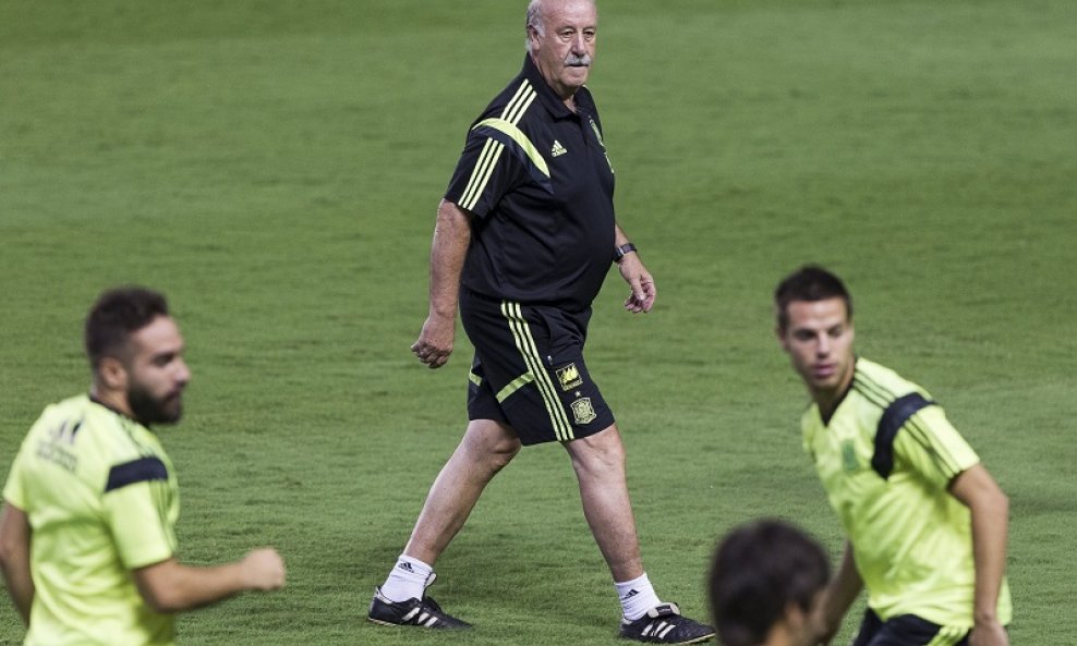 Vicente del Bosque