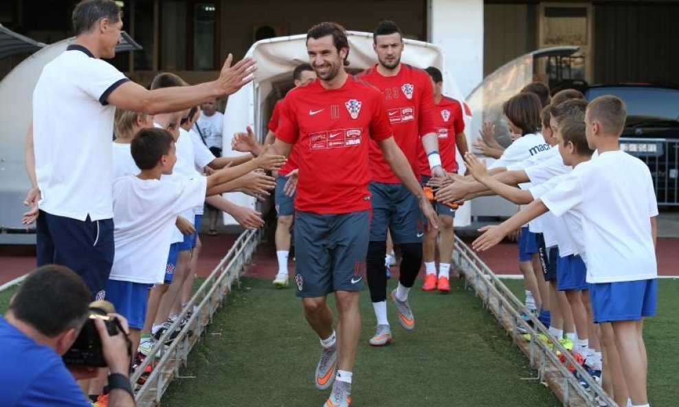 Darijo Srna