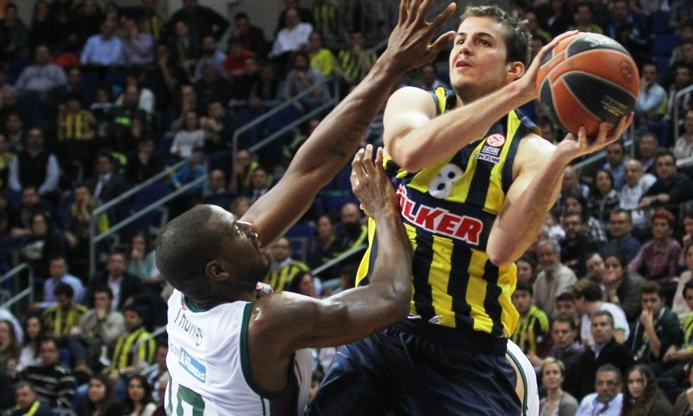 Nemanja Bjelica