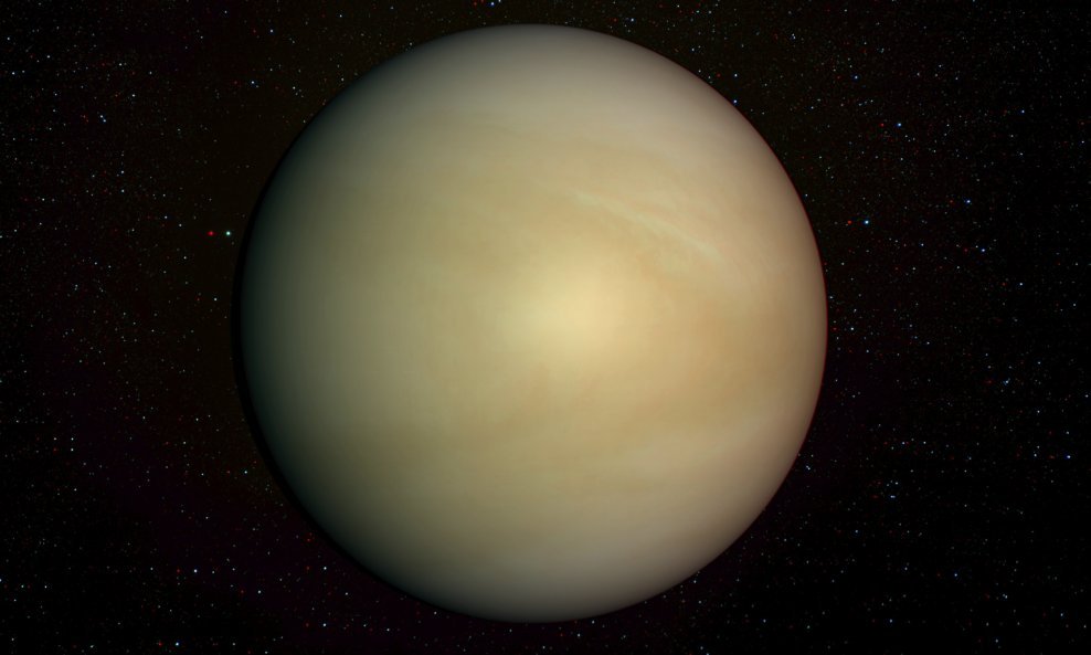 Venera