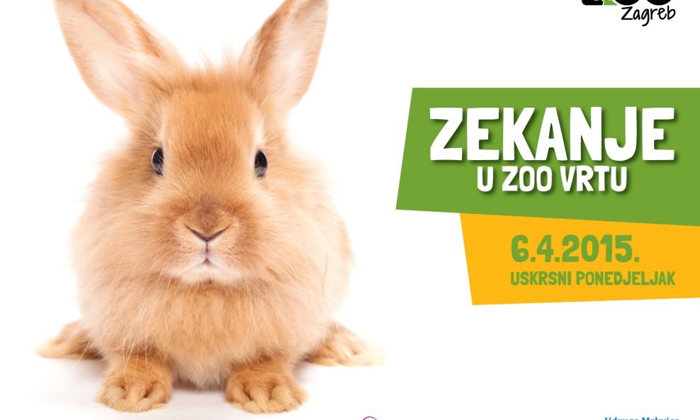 zekanje-u-zoo-vrtu